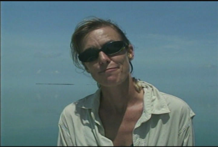 Your Sanctuary: Waterways - Dolphins Ecology Project