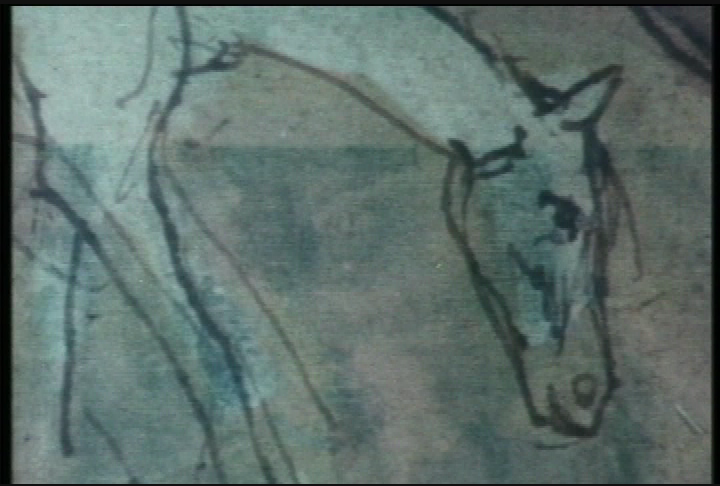 Picasso:  The Saltimbanques
