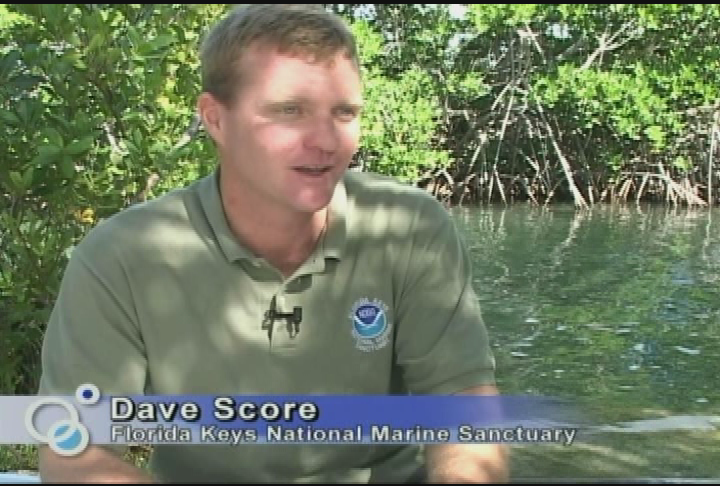 Your Sanctuary: Waterways - Bonefish & Tarpon Unlimited & Bunn Cannon Project