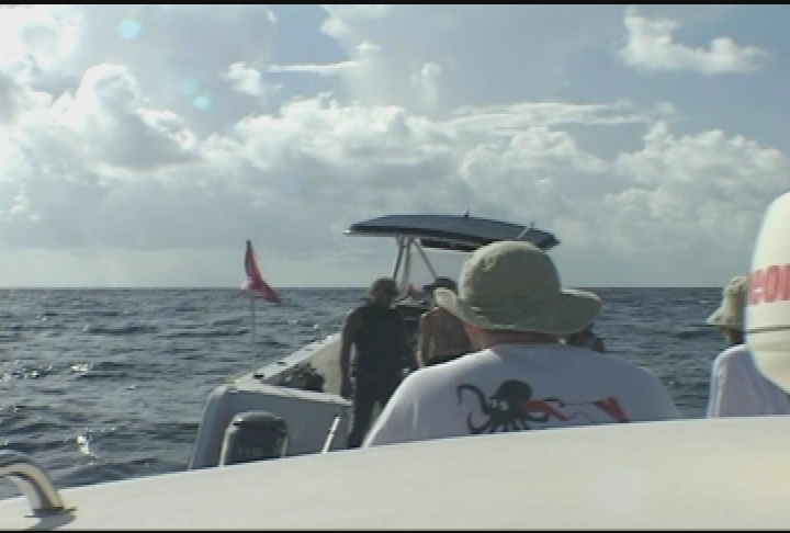 Your Sanctuary: Waterways - Exotic Batfish, Message in a Bottle Project & Coral Rescue in Key West