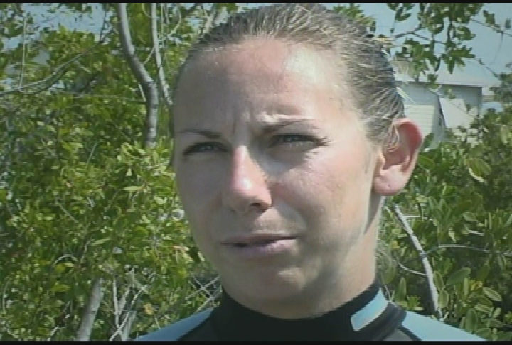Your Sanctuary: Waterways - Dolphin Stranding off of Marathon, Florida