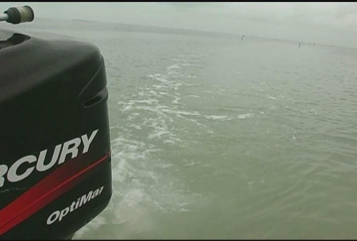 Your Sanctuary: Waterways - Coral Seeding Study & Florida Bay Map & Guide