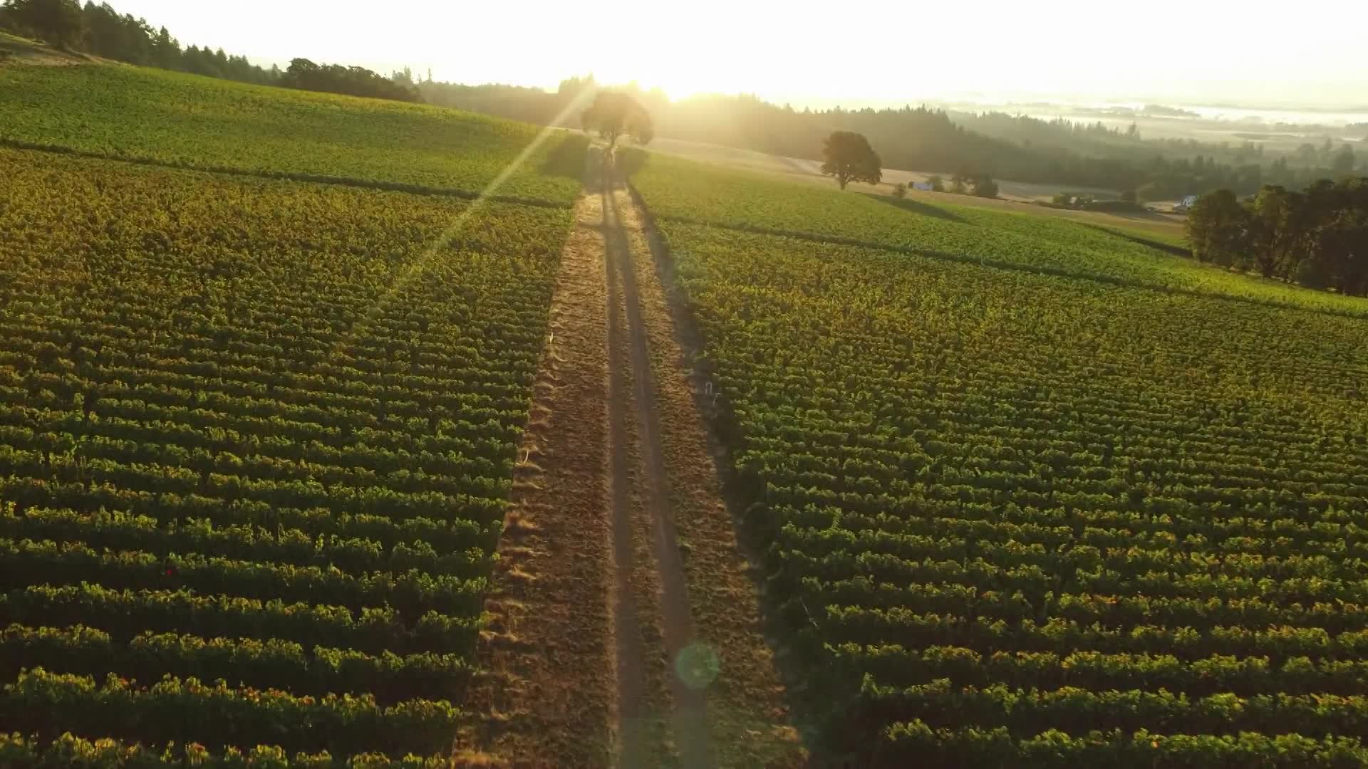 Thumbnail image for Leading a Nation