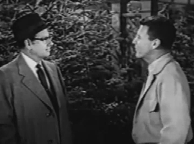 The Adventures of Ozzie & Harriet - "The Christmas Tree Lot"