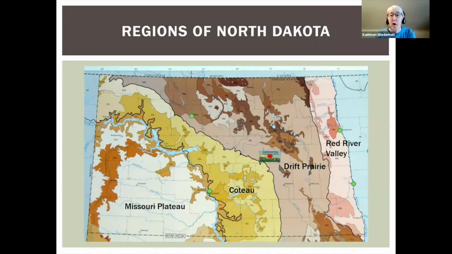 Thumbnail image for Dakota Growing - Aronia are Easy