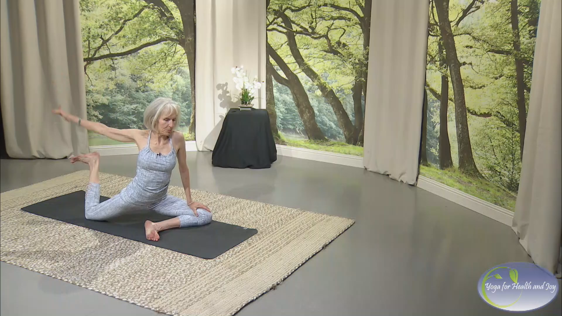 Hatha Yoga Flow - Alignment Based
