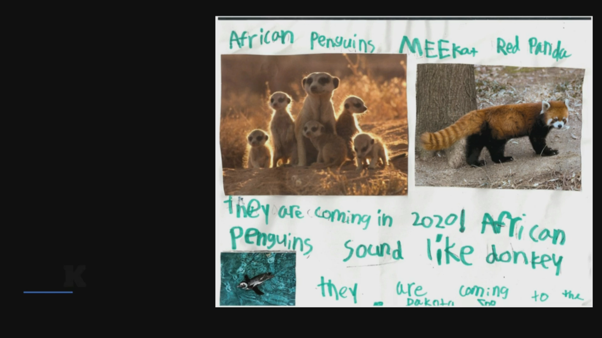 New Animals at the Dakota Zoo!