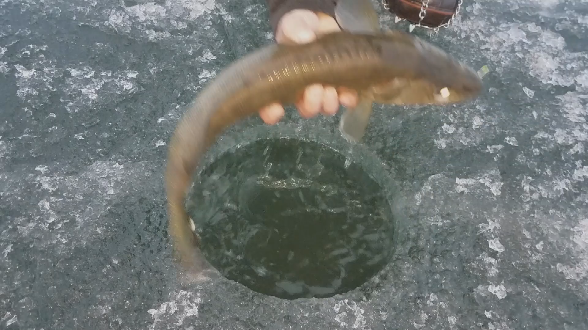 Ice Fishing Preview 2023-24