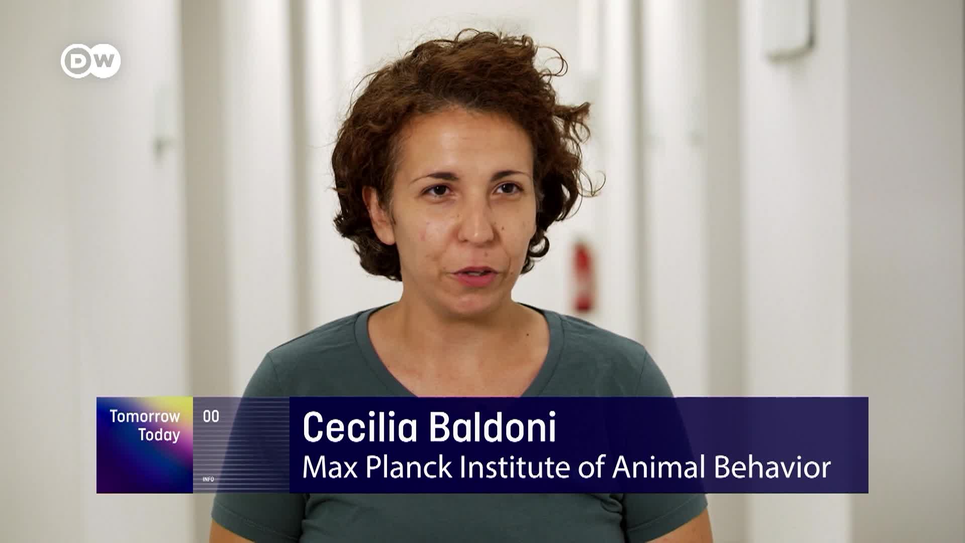 Thumbnail image for Tomorrow Today