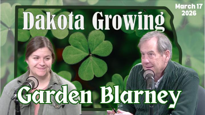 Thumbnail image for Dakota Growing - Garden Blarney