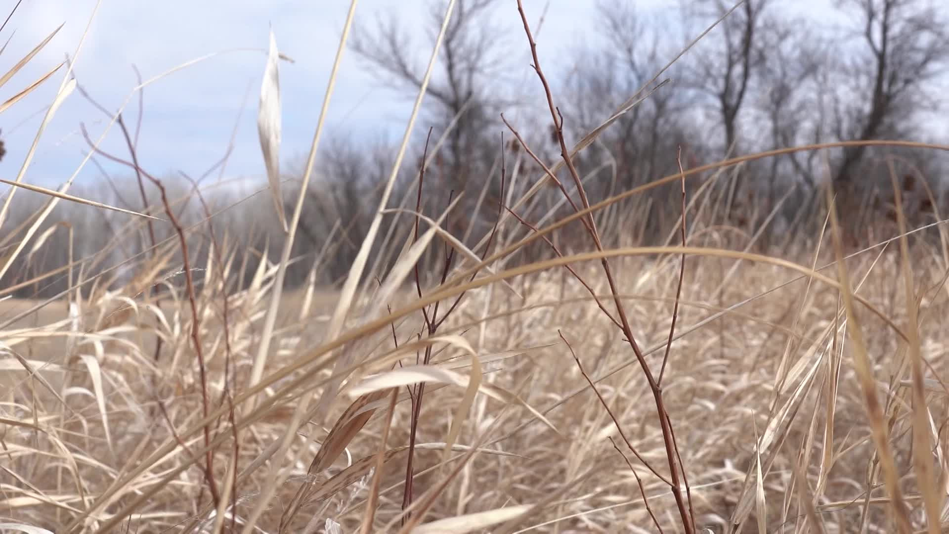 Fire Danger and Fall Outdoor Activities
