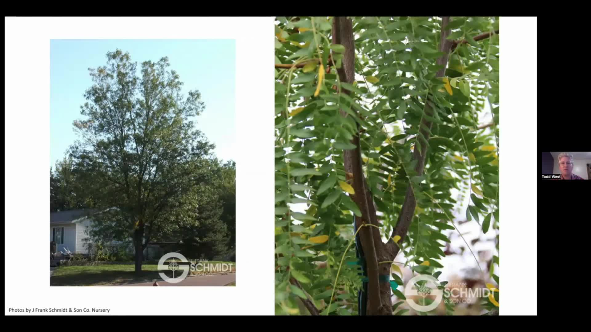 Dakota Growing - New Trees & Shrubs