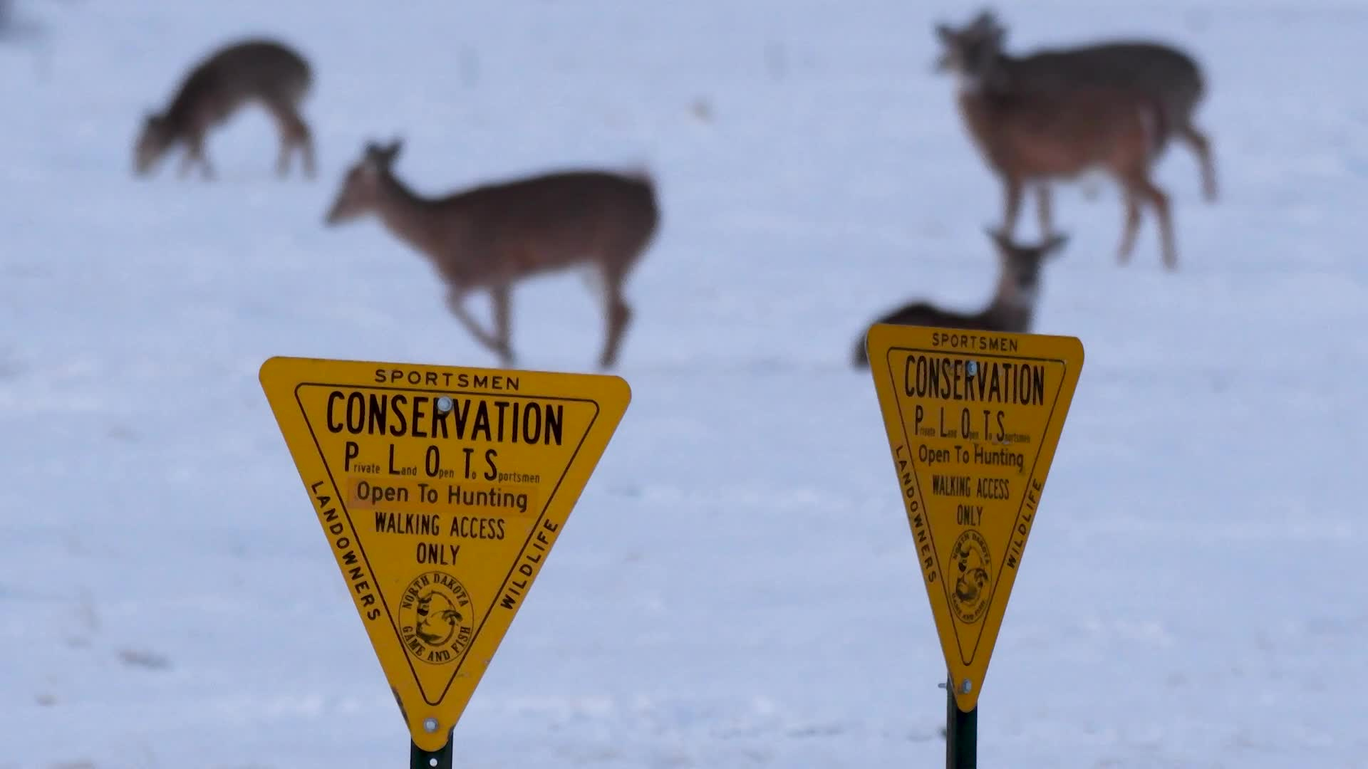 2022 Year in Review Highlights in the Outdoors